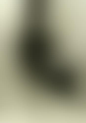 Nightfall (preview)