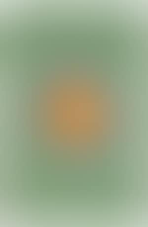 Project (preview)