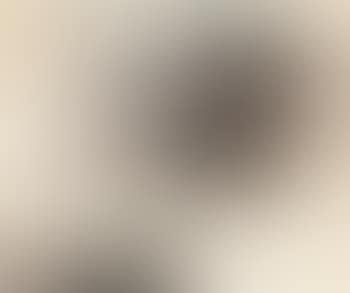 Landscape (preview)