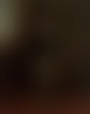 Portrait of a gentleman, standing (preview)