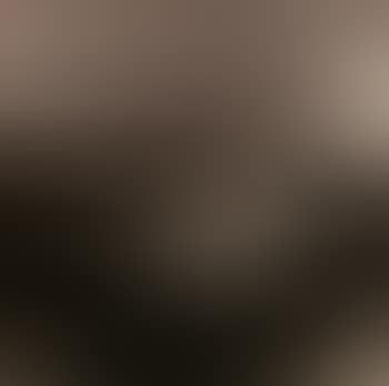 Reeds (preview)