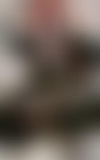 Opera figure (preview)