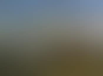 Early morning on the Manton Downs (preview)