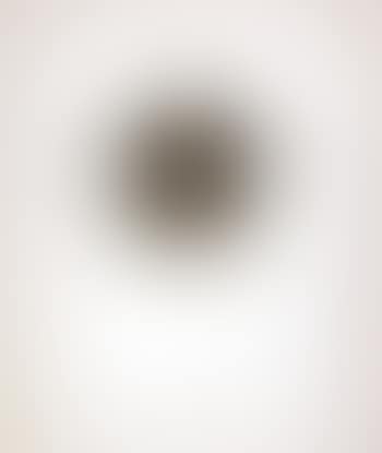 Autoportrait Calcine (preview)