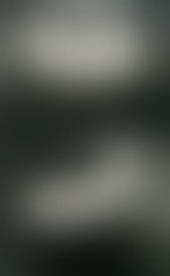 Bed (preview)