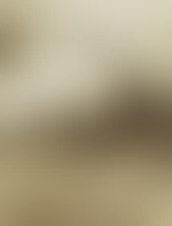 Seashell abstraction (preview)