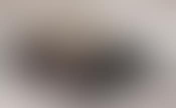 Untitled, JS 354 (preview)