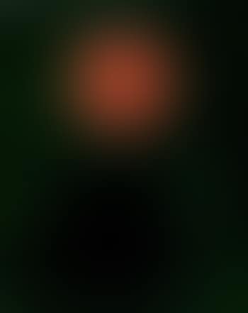 Red and green (preview)