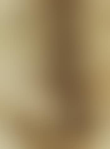 Project for extraterrestrial no.9 (preview)
