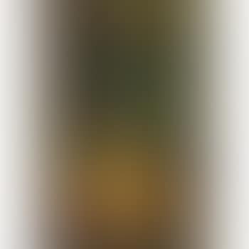 Still life with objects of vertu (preview)