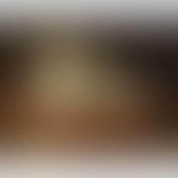 Portrait of a dog seated on a pillow (preview)