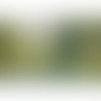 Paysage au bord de la riviere (preview)