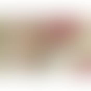In the boudoir (preview)