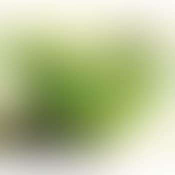Green bananas (preview)