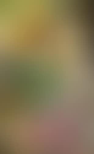 Abstract composition (preview)