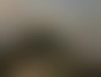 Herdsman with his cattle on a path (preview)
