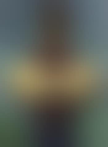 Motivo guatemalteco (preview)