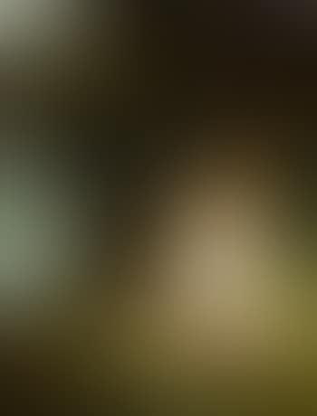 Coward (preview)