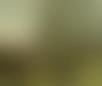 Farmyard with haystack (preview)