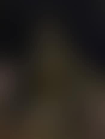 Elegant lady in Spanish dress (preview)