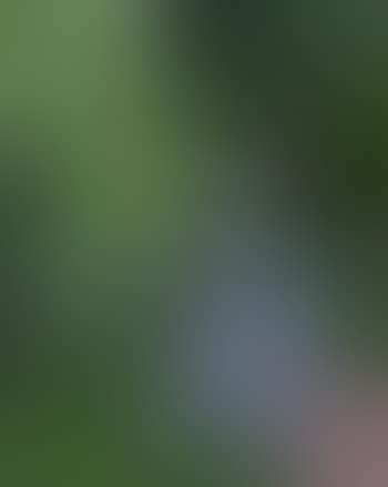Girl with umbrella in the garden, Giverny (preview)