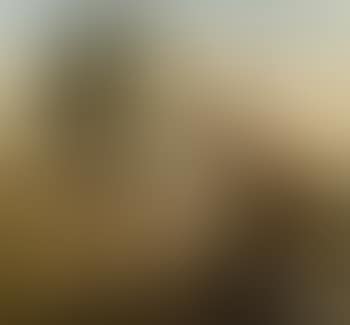 Cotton picker (preview)