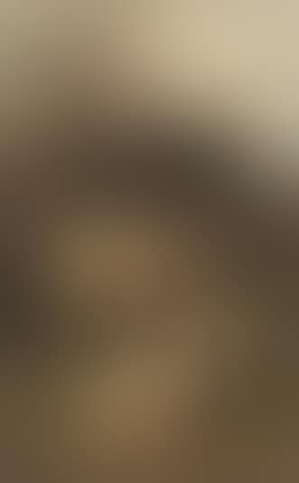 Sheep and hen in barnyard (preview)
