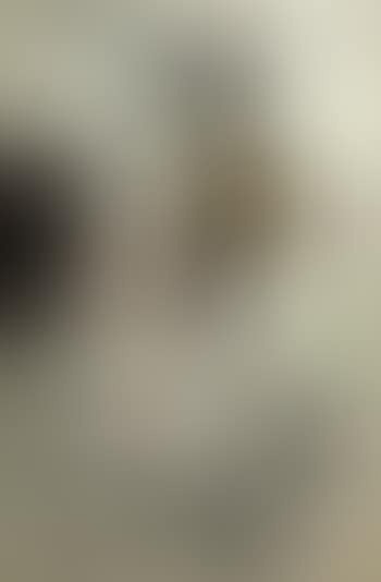 Untitled (preview)
