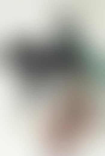 Girl with horse (preview)