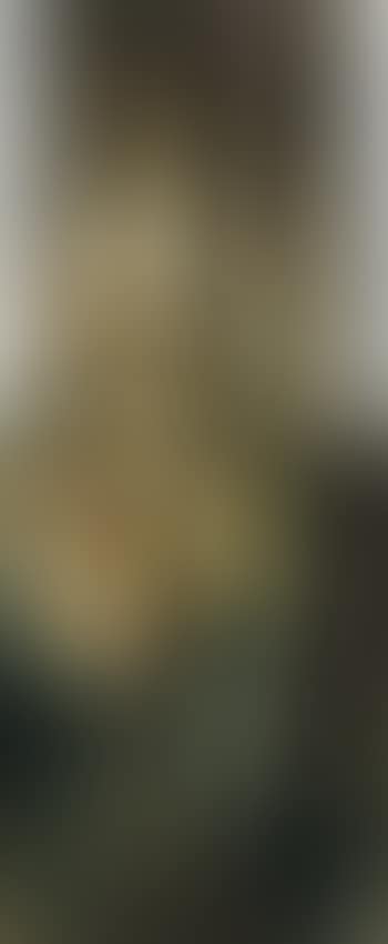 Self portrait (preview)