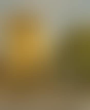 San Giusto (preview)