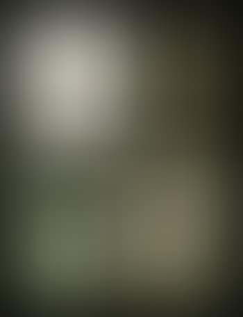 Images (preview)