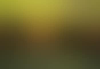 Sunset (preview)