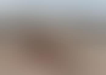 Desert landscape (preview)