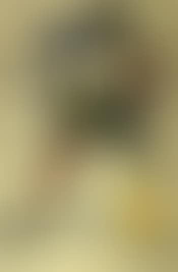 Composition (preview)