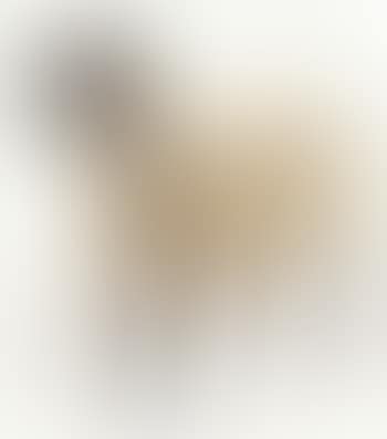 Mouton (preview)