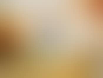 Woman on horse with dog and child (preview)