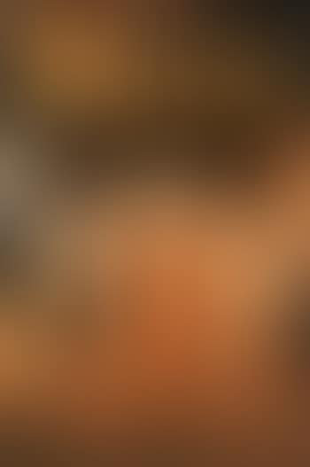 Beer (preview)