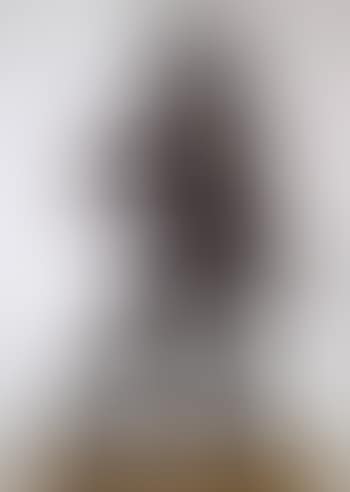 Skilful woman (preview)