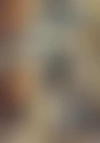 Bloemstilleven (preview)