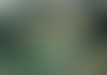 Forest and hill landscape (preview)