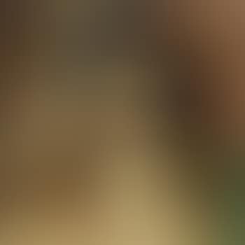 Compositie (preview)