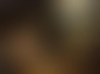 Venus and Adonis (preview)