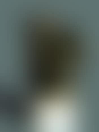 Bust of the heart (preview)