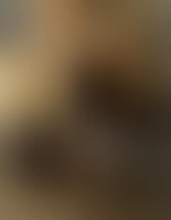 Garcon et son ane (preview)