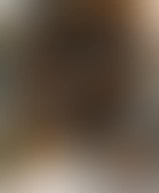Untitled (preview)