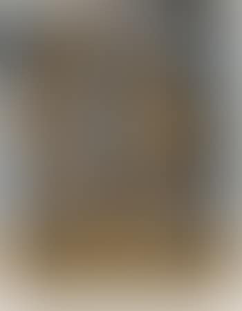 Two women talking (preview)
