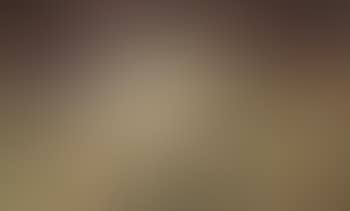 Guinea fowl (preview)