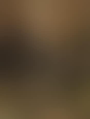 Forest landscape (preview)