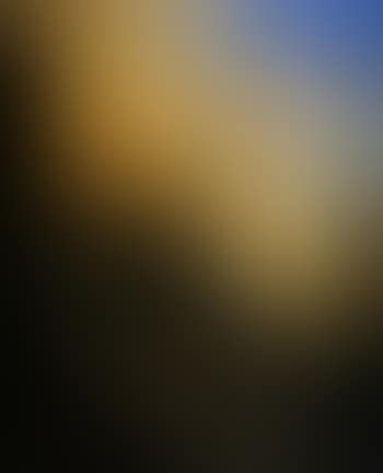Rural landscape (preview)